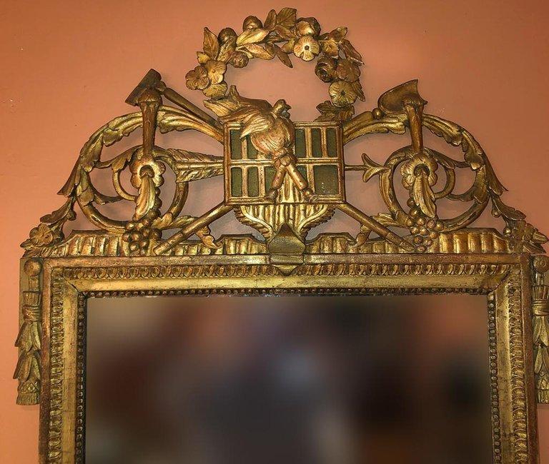 Louis XVI Carved Gilt Mirror - English Georgian America