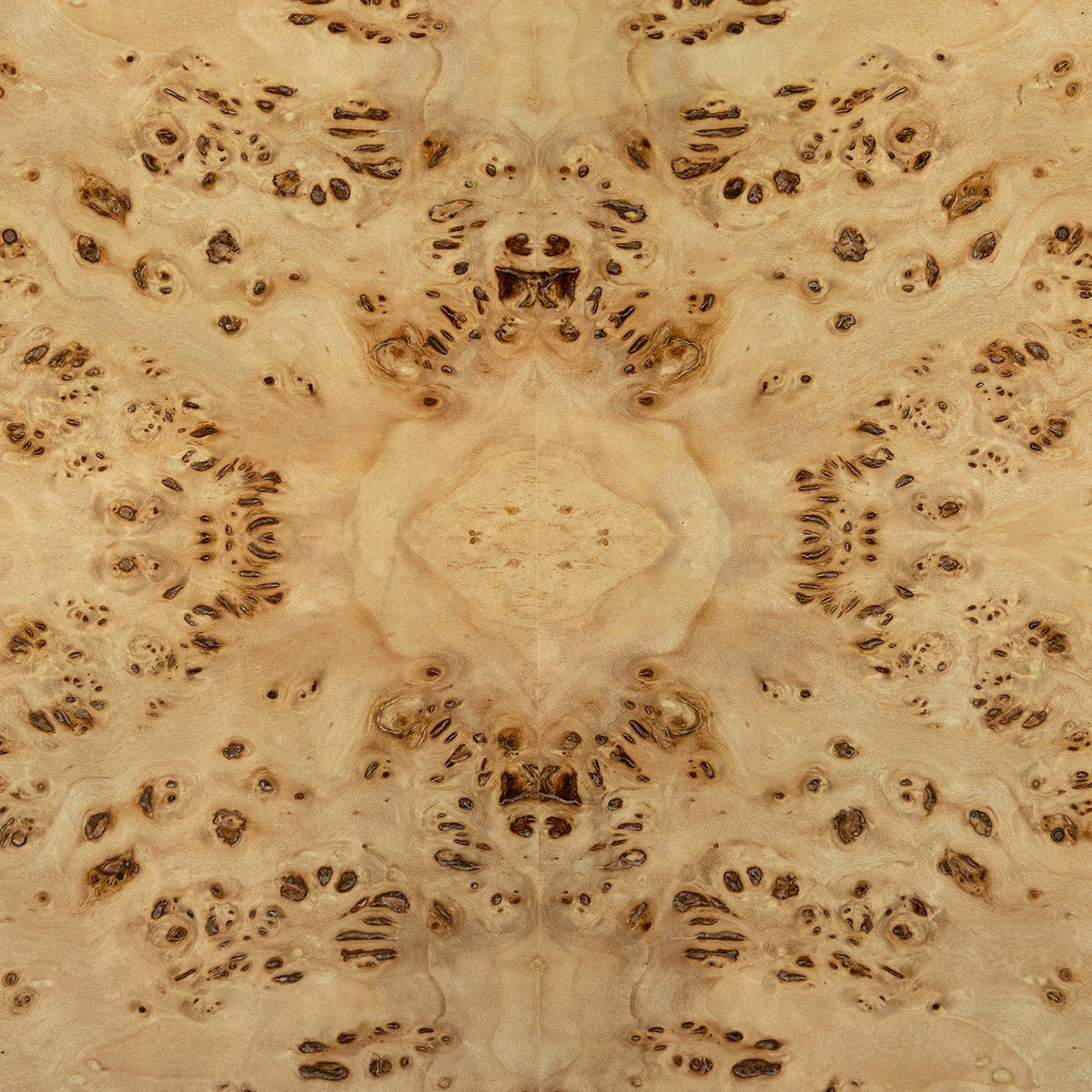 Modern Clear Burl Buffet Sideboard - English Georgian America