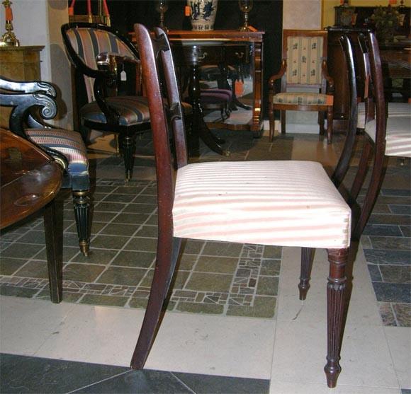 Set of 8 Regency Mahogany Dining Chairs - English Georgian America